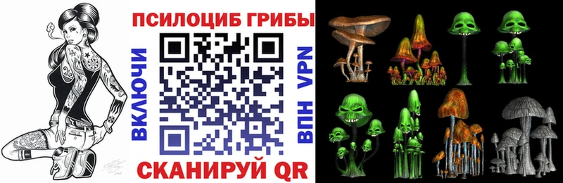 как найти   Краснообск  Галлюциногенные грибы мухоморы 